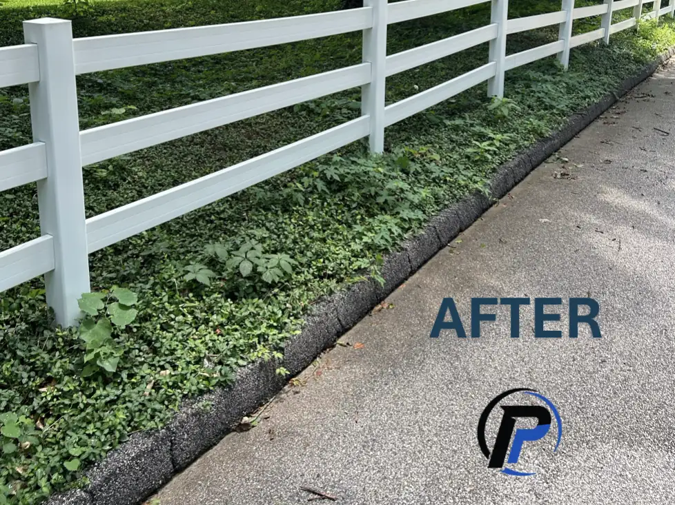 White fence bright and clean after soft washing