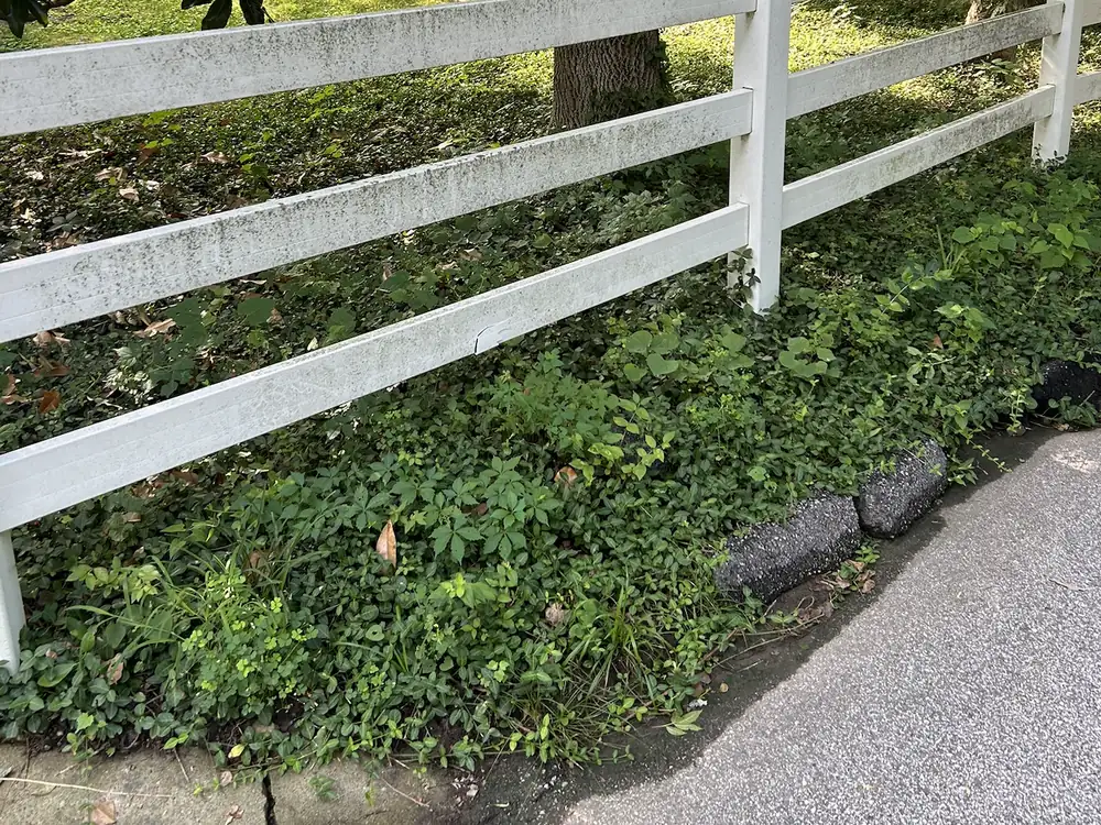 White fence covered in algae and grime before cleaning
